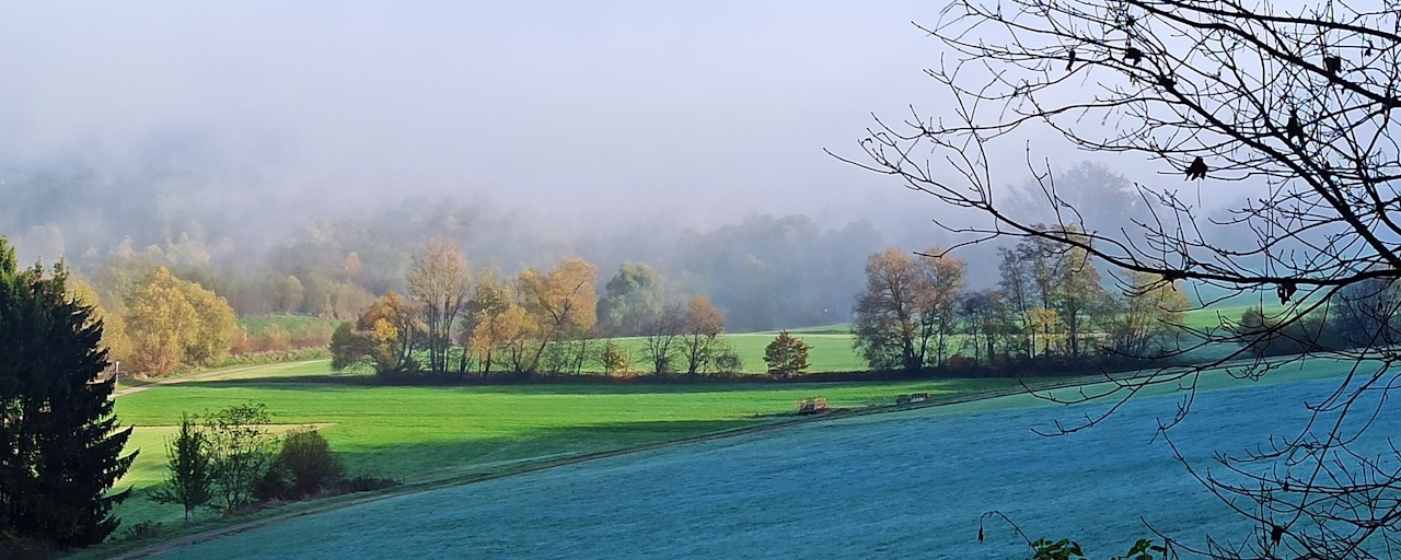 Limes Immobilien Limes Immobilien